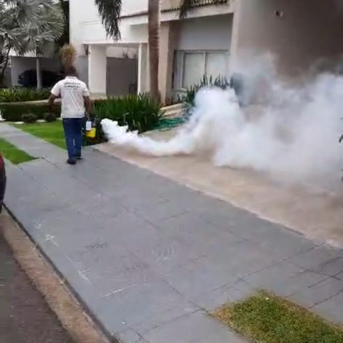 dedetizadora maringa